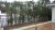 WF Paisagismo - Imagem 2