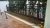 WF Paisagismo - Imagem 3