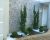 Realce Garden Center Da Jardinagem - Imagem 1