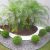 Realce Garden Center Da Jardinagem - Imagem 2