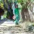 WF Paisagismo - Imagem 11