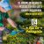 WF Paisagismo - Imagem 15