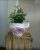 Recanto Das Flores - Imagem 15