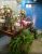 Recanto Das Flores - Imagem 23