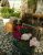 Recanto Das Flores - Imagem 29