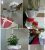 Recanto Das Flores - Imagem 14