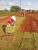 Grupo Oliveira MS - Imagem 9