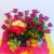 Floricultura 2 Irmãos 24 Horas - Imagem 7