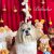 Shop Dog - Imagem 6