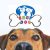Shop Dog - Imagem 7