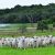 Jandaia Agropecuária - Imagem 1