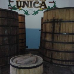 Mercadinho Araujo e Cachaça Januaria Grupo 102 Central De Publicações e Divulgação Na Internet