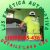 LJS Estética Automotiva - Imagem 11