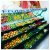 Supermercado GV Variedades - Imagem 12