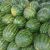 Hortifruti Ronilton - Imagem 10