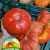 Hortifruti Ronilton - Imagem 12