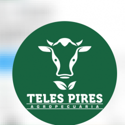Teles Pires Agropecuaria Grupo 102 Central De Publicações e Divulgação Na Internet