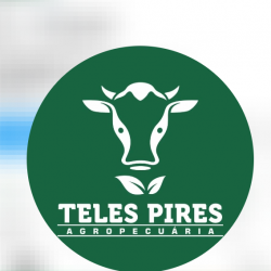 Teles Pires Agropecuária Grupo 102 Central De Publicações e Divulgação Na Internet