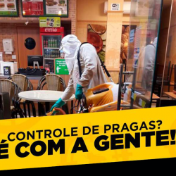 Solução Dedetizadora e Controle De Pragas Urbanas Grupo 102 Central De Publicações e Divulgação Na Internet