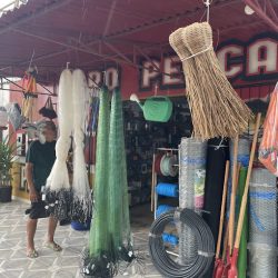 Agro Pesca Grupo 102 Central De Publicações e Divulgação Na Internet