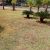 Attos Jardins - Imagem 3