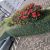 Attos Jardins - Imagem 11